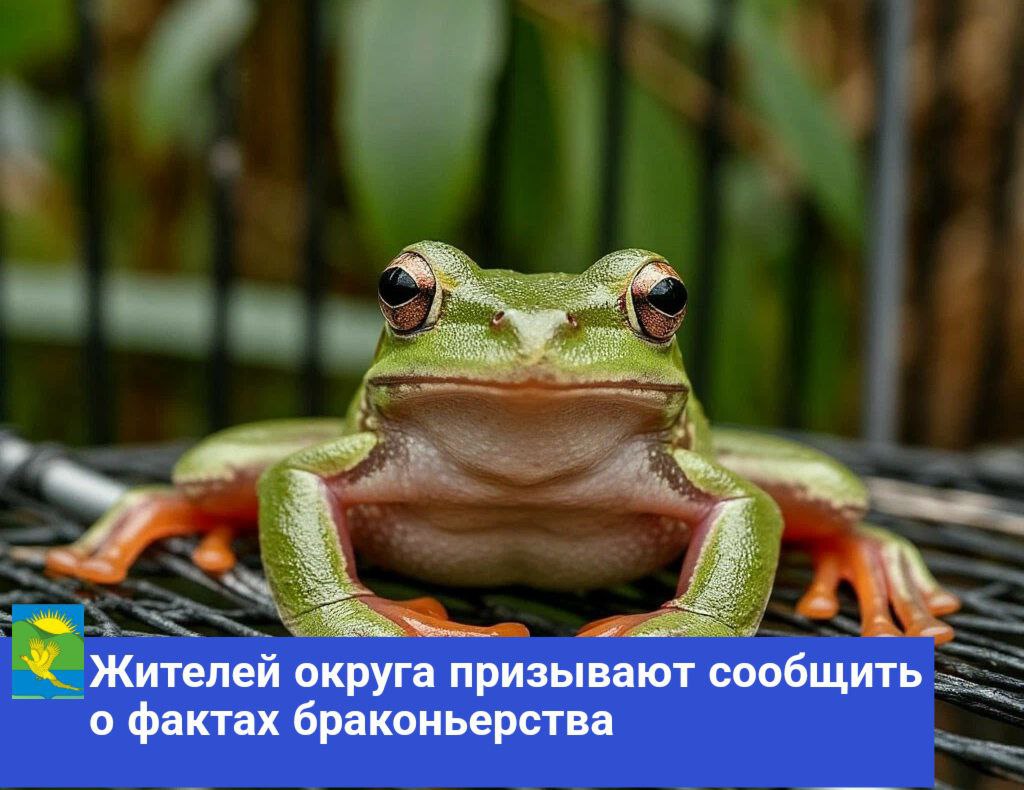 Жителей округа призывают сообщать о фактах браконьерства.